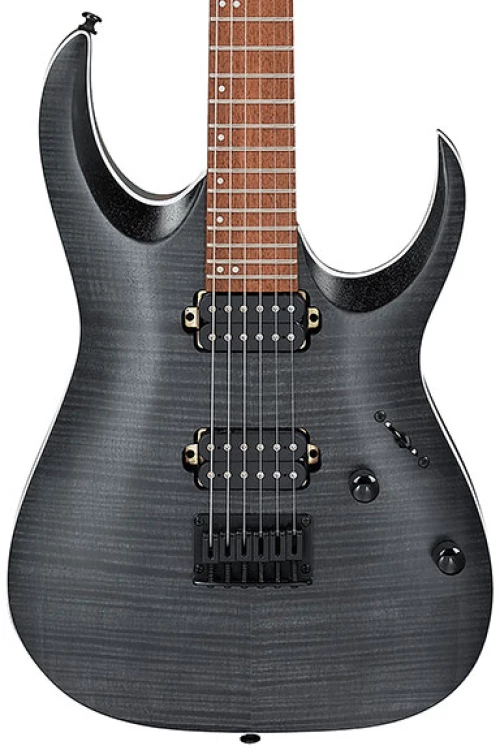 Ibanez RGA 42 FM - Transparent Gray Flat
