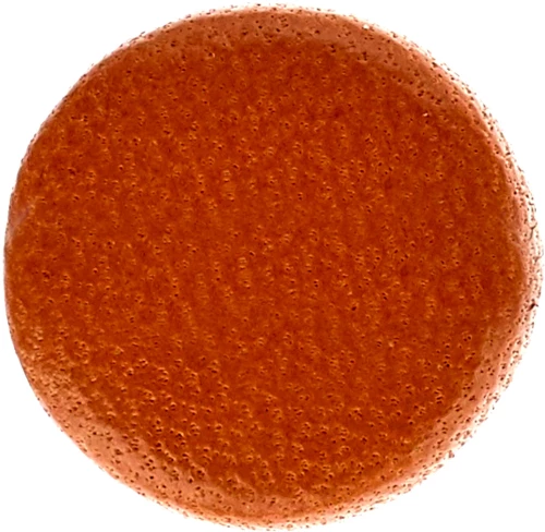 Pisoni Saxophone Pad - 13mm