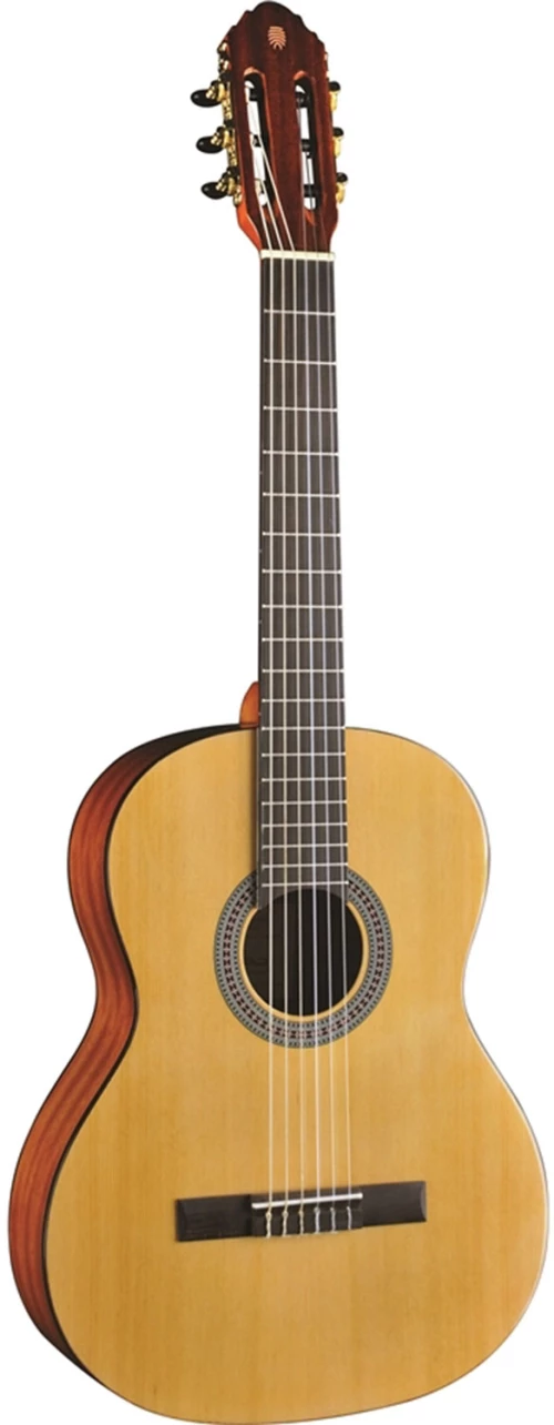Eko Guitars Vibra100 Natural