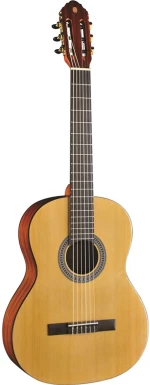Eko Guitars Vibra100 Natural
