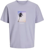 Μπλούζα κοντομάνικη ανδρική "Miami" λιλά