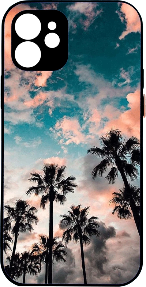 palm trees sky IPhone 12