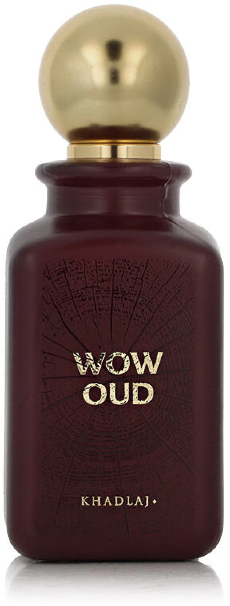 Γυναικείο Άρωμα Khadlaj Wow Oud EDP 100 ml