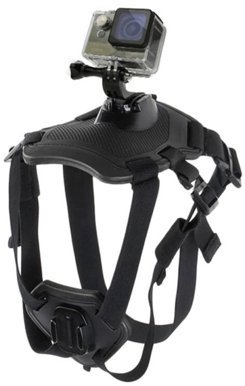 Dog chest strap PULUZ for action cameras (GoPro, Insta360, DJI Action etc.)