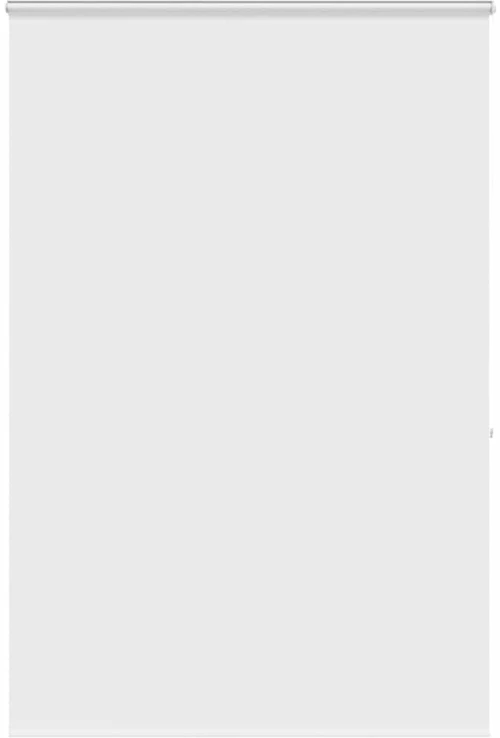 vidaXL Κουρτίνα Μπάνιου Ρολό κασέτα 160x240εκ. Πλάτος υφάσματος 156εκ.