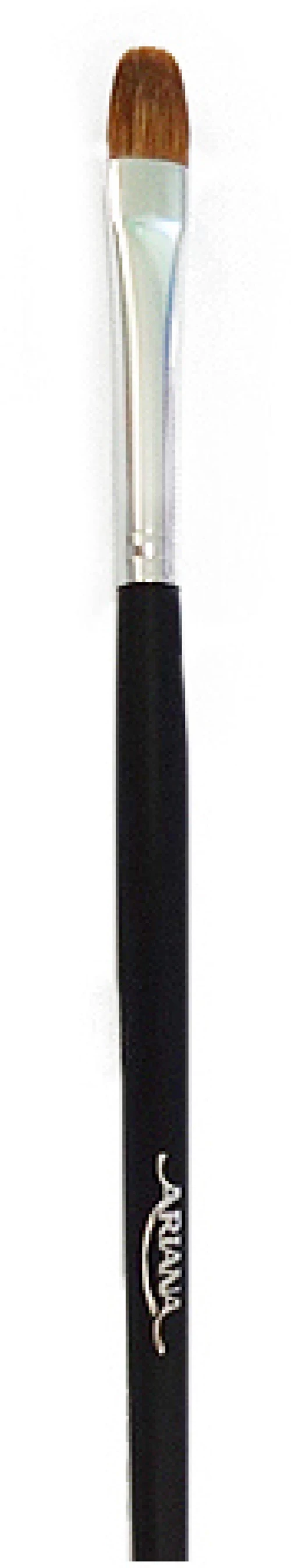 Ariana Πινέλο Μακιγιάζ