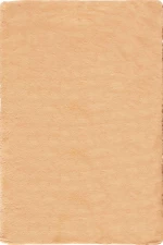 Χαλί Super Fluffy Camel 160X230cm