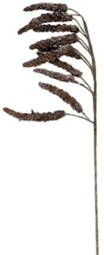 Λουλούδι - Κλαδί 030293 60cm Brown