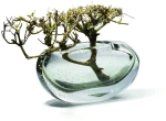 Βάζο Amara Lateral 107015 28x10x15,2cm Clear-Green Philippi Γυαλί