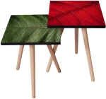 Τραπεζάκια Βοηθητικά (Σετ 2Τμχ) 481LNA2206 35x35x47/42cm Green-Red