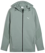 Puma EVOSTRIPE Full-Zip Hoodie DK 684613-30 PUMA ΠΡΑΣΙΝΟ