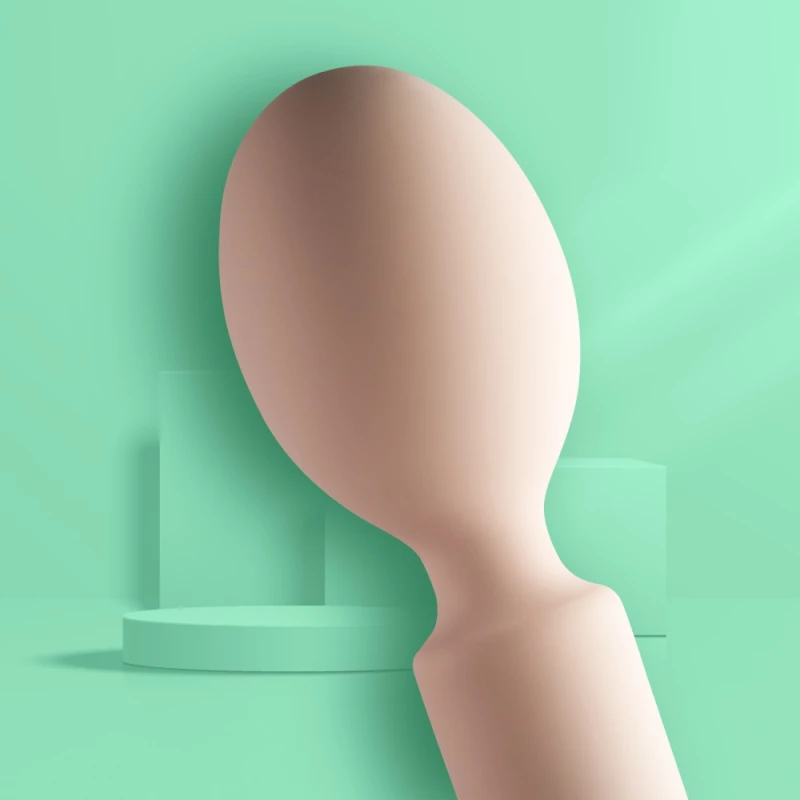 Take Me Wand Massager