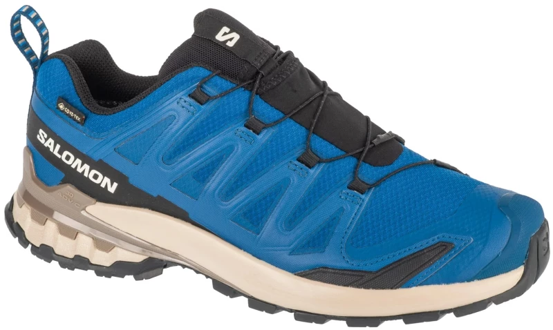 Salomon XA Pro 3D v9 GTX L47817200