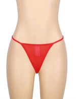 Red Lace Garter Belt Panty
