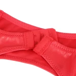 Red Lace Garter Belt Panty