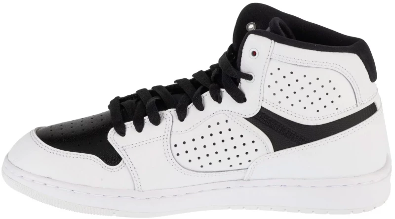Jordan Access AR3762-101