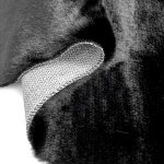 LINO ΔΙΑΔΡΟΜΟΣ DOUX BLACK 67X140