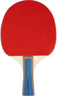 Ρακέτα Ping Pong 2 stars Avento 46TJ