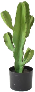 CANDELABRA CACTUS ΦΥΤΟ ΤΕΧΝΗΤΟ ΣΕ ΓΛΑΣΤΡΑ 55 PU ΠΡΑΣΙΝΟINTHEBOX