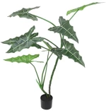 Alocasia σε κασπώ Φ120Η 170cm