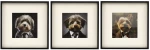 Κάδρο  FLUFFY DOG  /3σχέδια 40x40cm