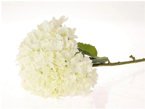 Κλαδί ορτανσία λευκή Φ30Η111cm