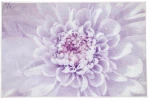 Χαλάκι Μπάνιου Dahlia 50x60 εκ