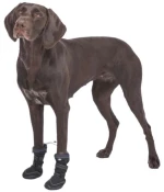 Trixie Paw Protection Walker Active Αδιάβροχα Μποτάκια Σκύλου 2τμχ S-M