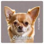 Action Lab Μαγνητάκι Magnet Chihuahua Moca