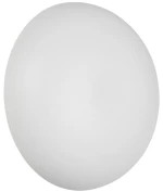 Φωτιστικό Επίτοιχο Reality Lighting -RL DAVEY R24431131 Λευκό Ματ (White Mat) 3000K