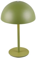 Φωτιστικό Επιτραπέζιο Reality Lighting -RL MUNOZ R54891115 Πράσινο (Green) 3000K
