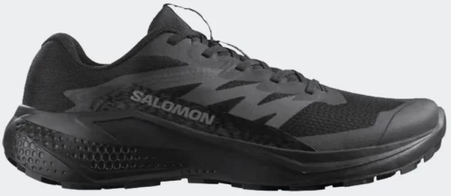 SALOMON SMU BANK ALPHAGLIDE  - 479483