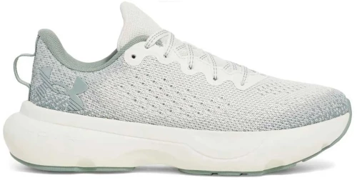 UNDER ARMOUR W INFINITE (3027524-114)