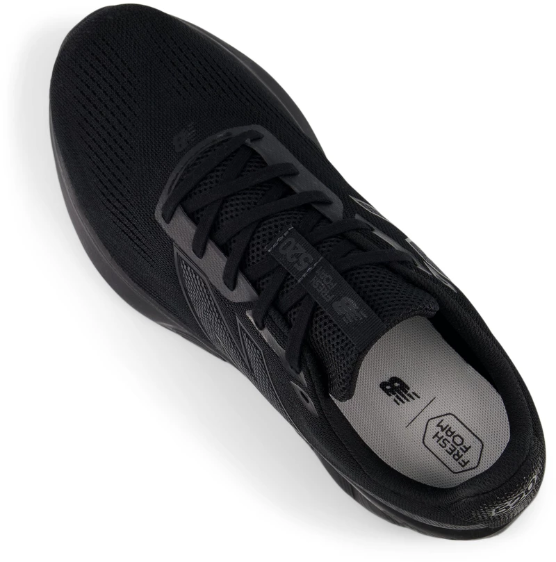 NEW BALANCE  FF 520v9 (M520LT9)