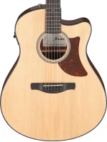 Ibanez AAM50CE-OPN