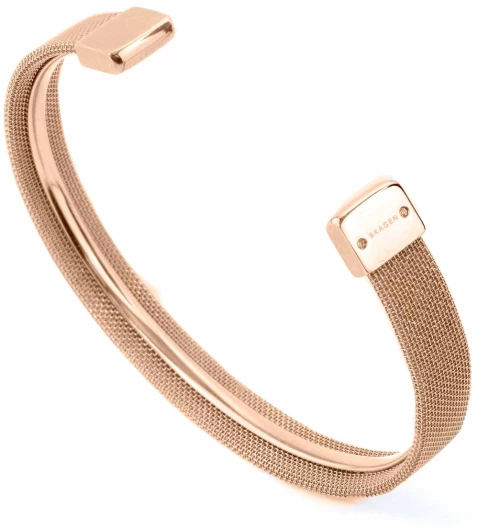 Γυναικεία Βραχιόλια Skagen SKJB1000791P 65 mm