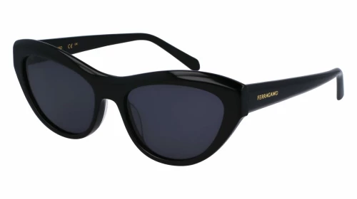 Γυναικεία Γυαλιά Ηλίου Salvatore Ferragamo SF1103S-5517001 Ø 55 mm
