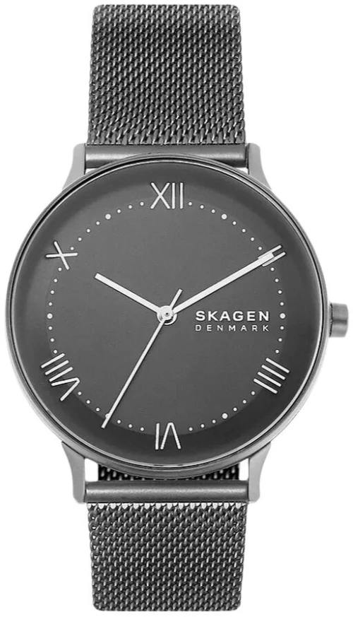 Ανδρικά Ρολόγια Skagen SKW6624 (Ø 40 mm)