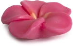 POKHARA BAR SOAP 105g "Peony"