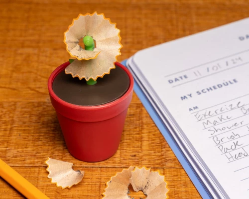 Ξύστρα Μολυβιών Σε Γλαστράκι | Flower Pot Pencil Sharpener ST132