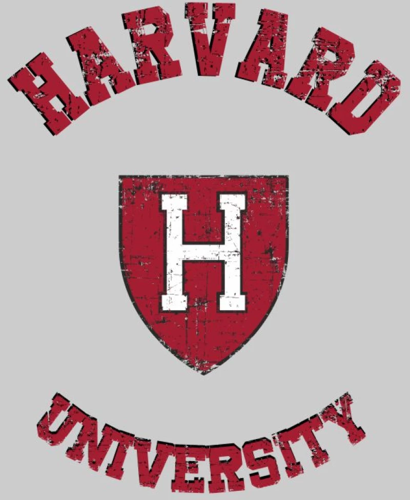 Τσάντα Αγοράς Harvard (Replica) - Black