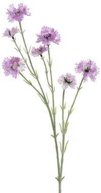 ΛΟΥΛΟΥΔΙ 68 CM   Beauty Home