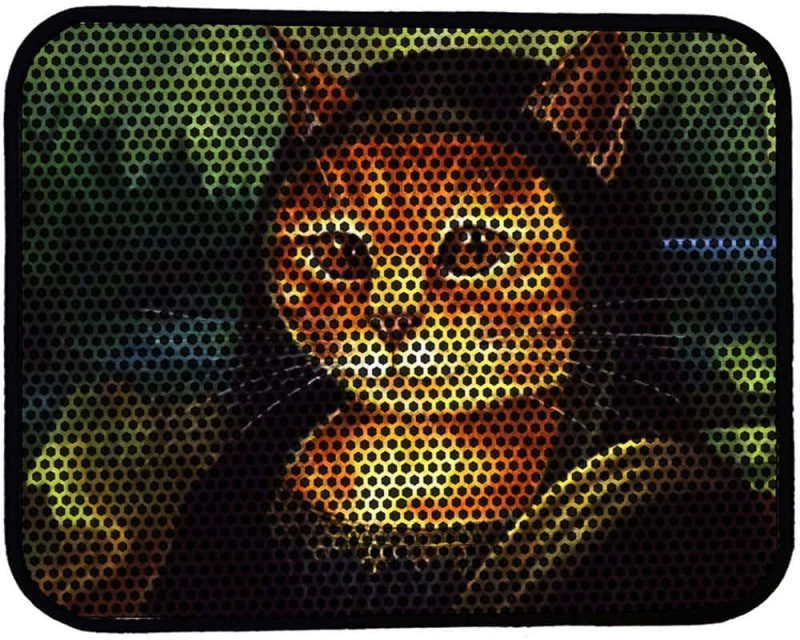 Χαλάκι Συλλογής Άμμου Γάτας 686GRV1491 45x60cm Multi Petpetite