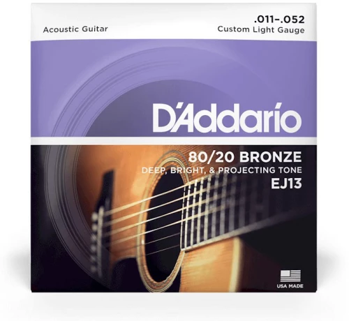 D'Addario EJ13
