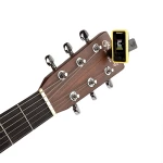 D'Addario PW-CT-17YL