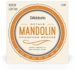D'Addario EJ80