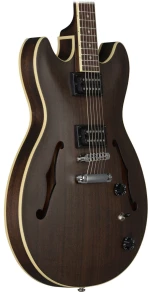 Ibanez AS53-TKF