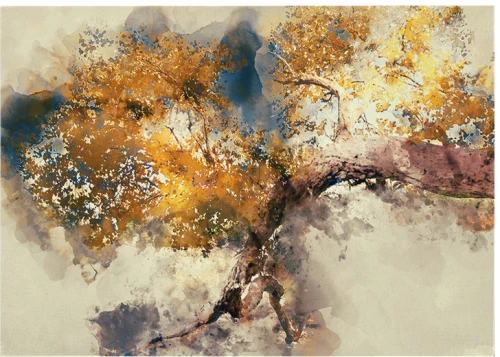 Πίνακας σε καμβά Benkon pakoworld με ψηφιακή εκτύπωση 70x3x100εκ