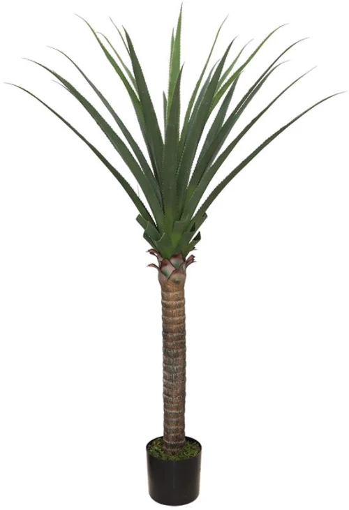 AGAVE TREE NP802_160 ΥΨΟΣ 160cm New Plan