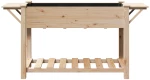vidaXL Κήπος Γλάστρας με Ράφια 155x59x76 εκ. Μασίφ Ξύλο Πεύκου